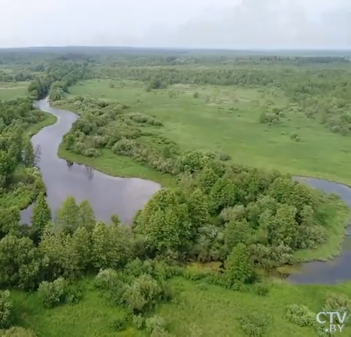 СТВ. Земля памяти. Березинский заповедник