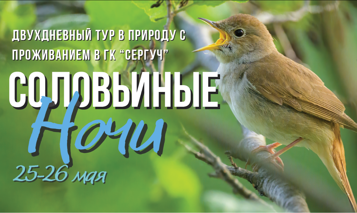 ТУР «СОЛОВЬИНЫЕ НОЧИ»