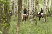 По зеленому «Раю»