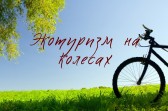 ЭКАТУРЫЗМ НА КОЛАХ