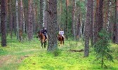 ТУР "ЛЯСНЫЯ ТАЯМНІЦЫ"