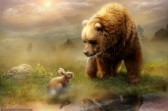 In the wake of brown bear