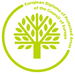 DiplomaLogo.jpg DiplomaLogo.jpg