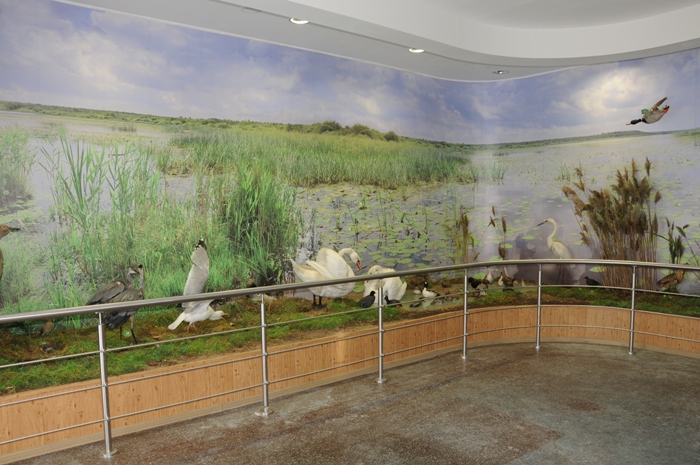 museum_17.JPG