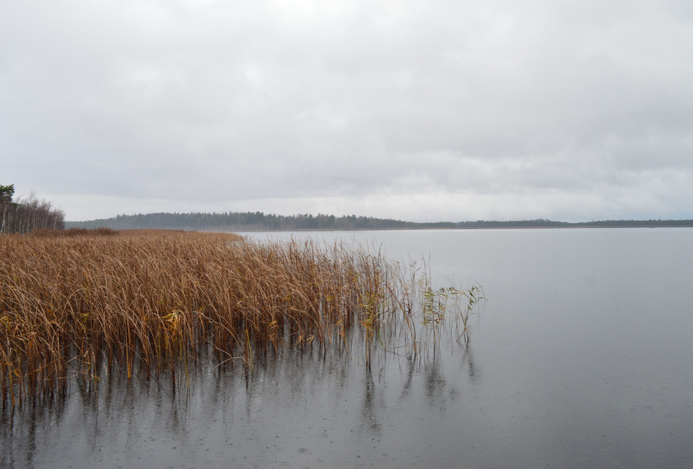 DSC_0521.JPG