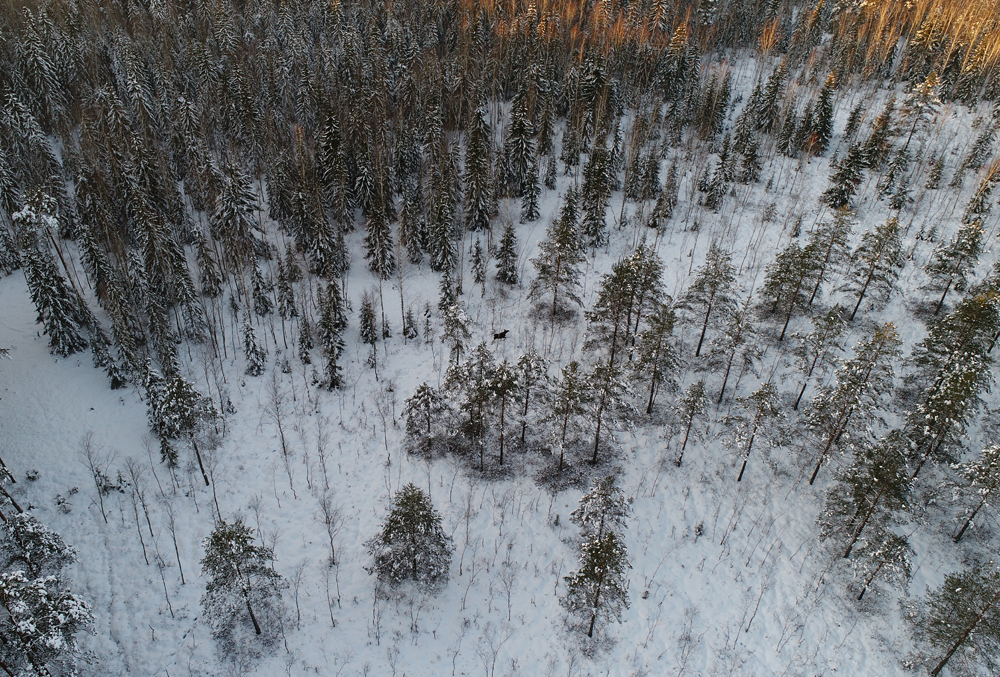 DJI_0008.JPG