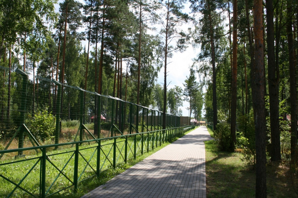 ЛЕСНОЙ ЗООПРАК (1).JPG