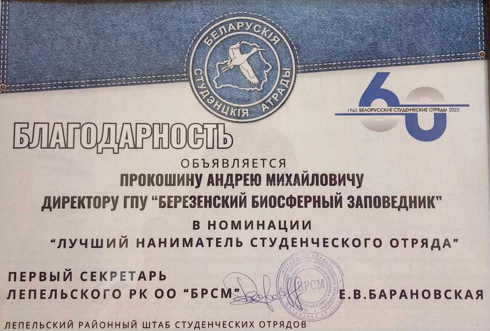 изображение_viber_2024-11-26_08-29-24-856.jpg