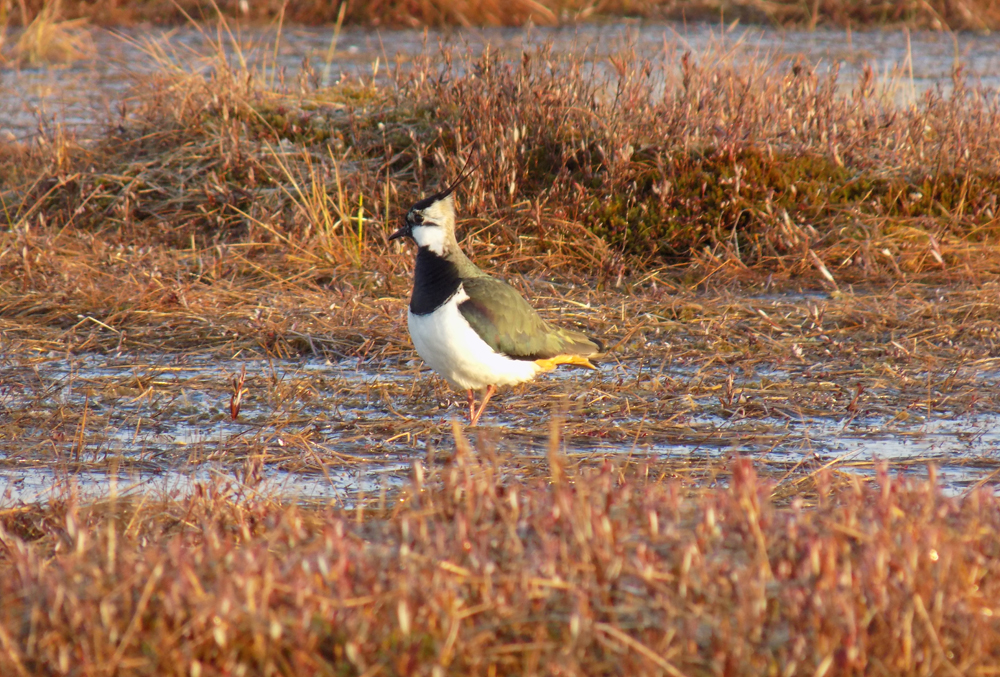 DSCN1835.JPG