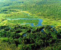 uviazkovoye_lake.jpg