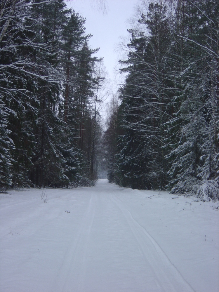 DSC00010.JPG