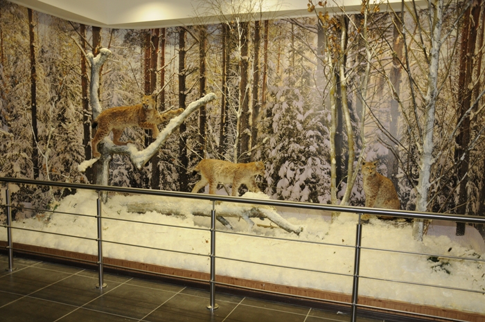 museum_5.JPG