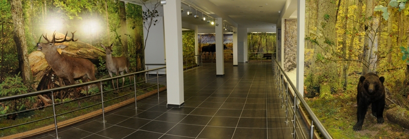 museum_1.jpg