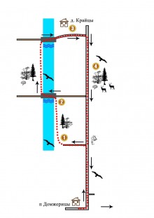 6_sm.ts1375259359.jpg