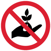 sryvat-cvety-zapreshheno.png