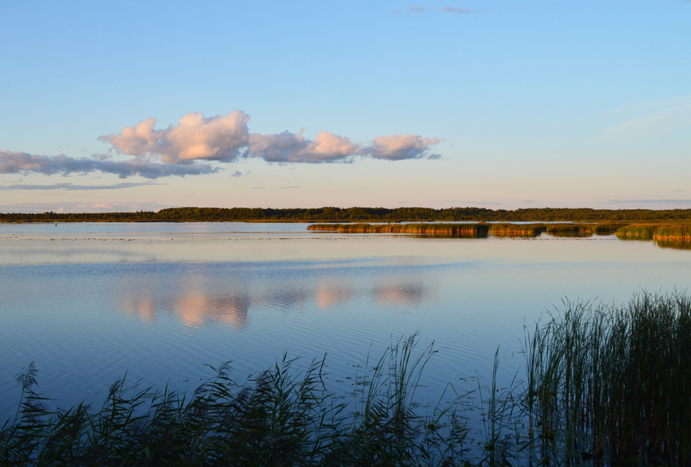 DSC_0554.JPG