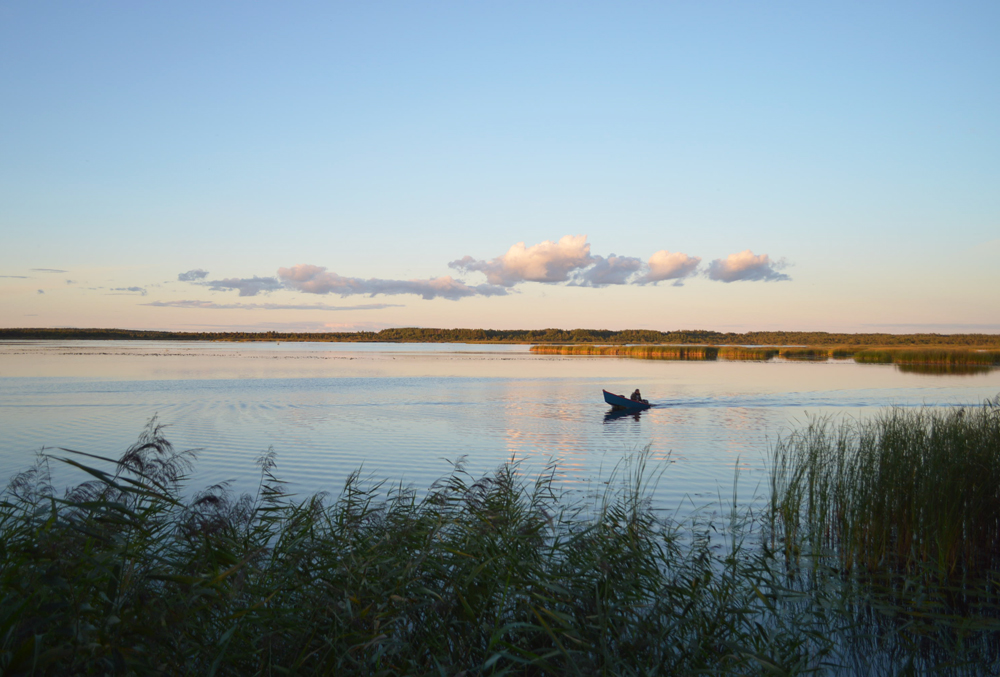 DSC_0567.JPG