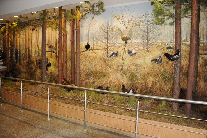 museum_18.JPG