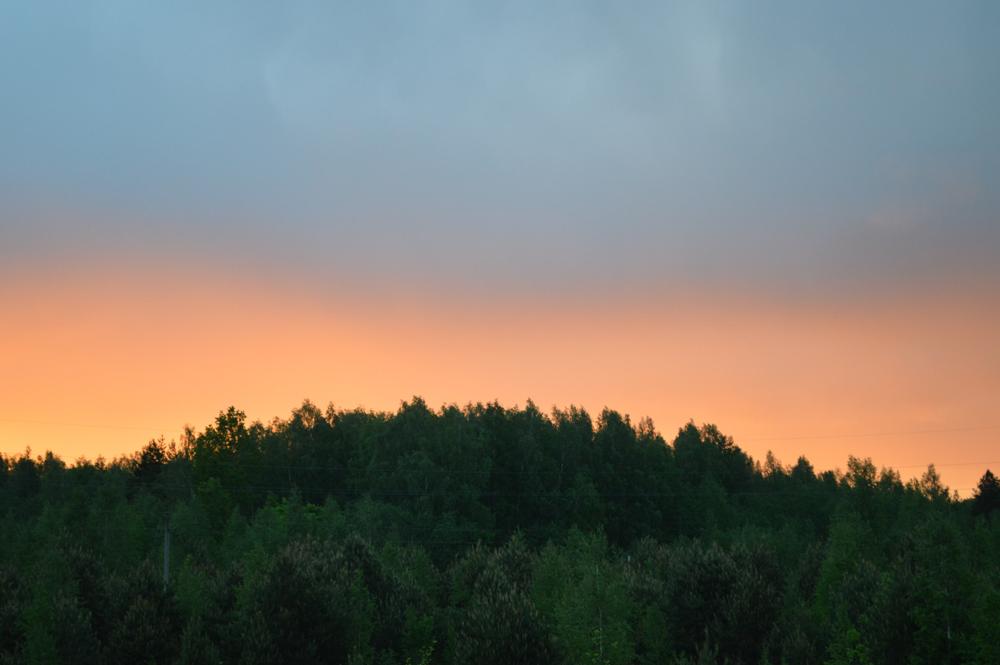 DSC_0989.JPG