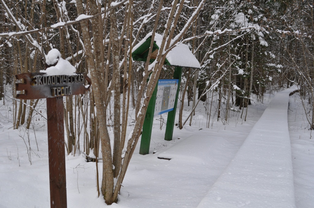 DSC_0045.JPG