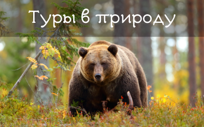 Кнопка2.png