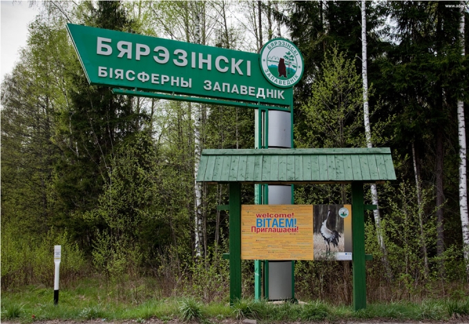 entrance.jpg
