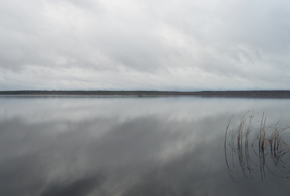 DSC_0524.JPG