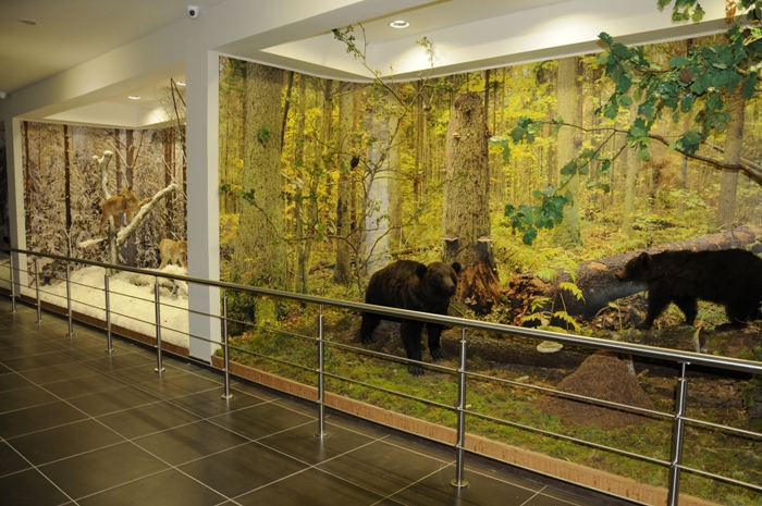 museum_4.JPG