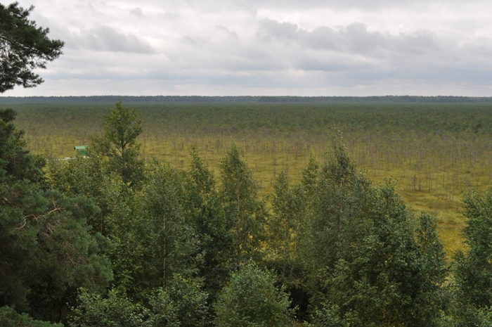 ecotropa7.JPG