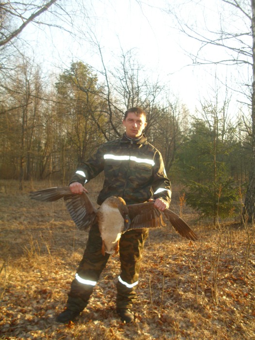 hunter_goose.JPG