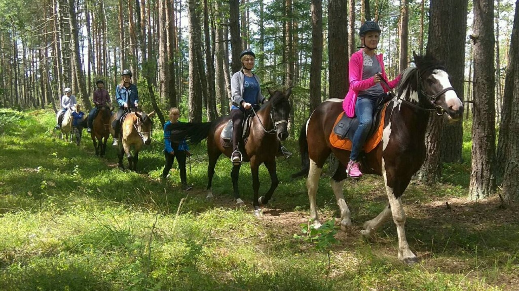 верховая.jpg