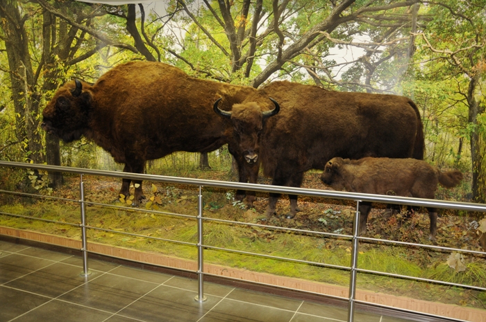 museum_8.JPG