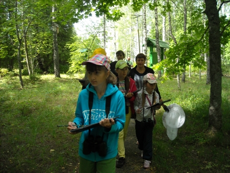 discovery_trail1.JPG