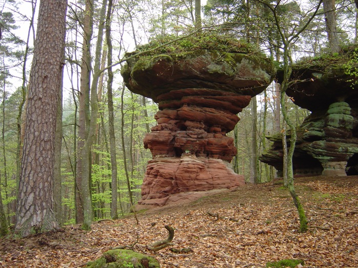 Vosges du Nord1.jpg