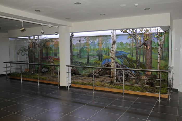 museum_2.JPG