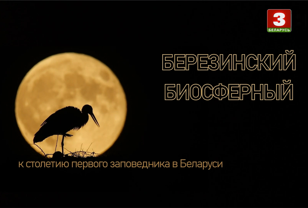 Безимени-1.jpg