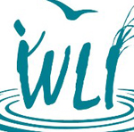 WLI.jpg
