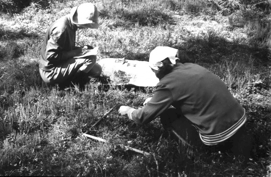 IMG15.jpg