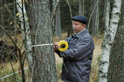 coop3.jpg