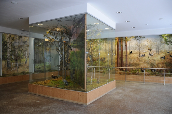 museum_16.JPG