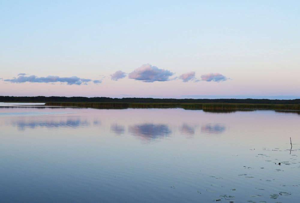 DSC_0570.JPG