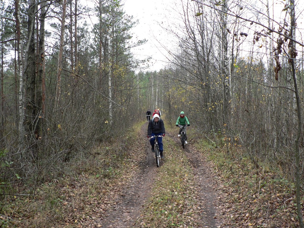 velo3.JPG