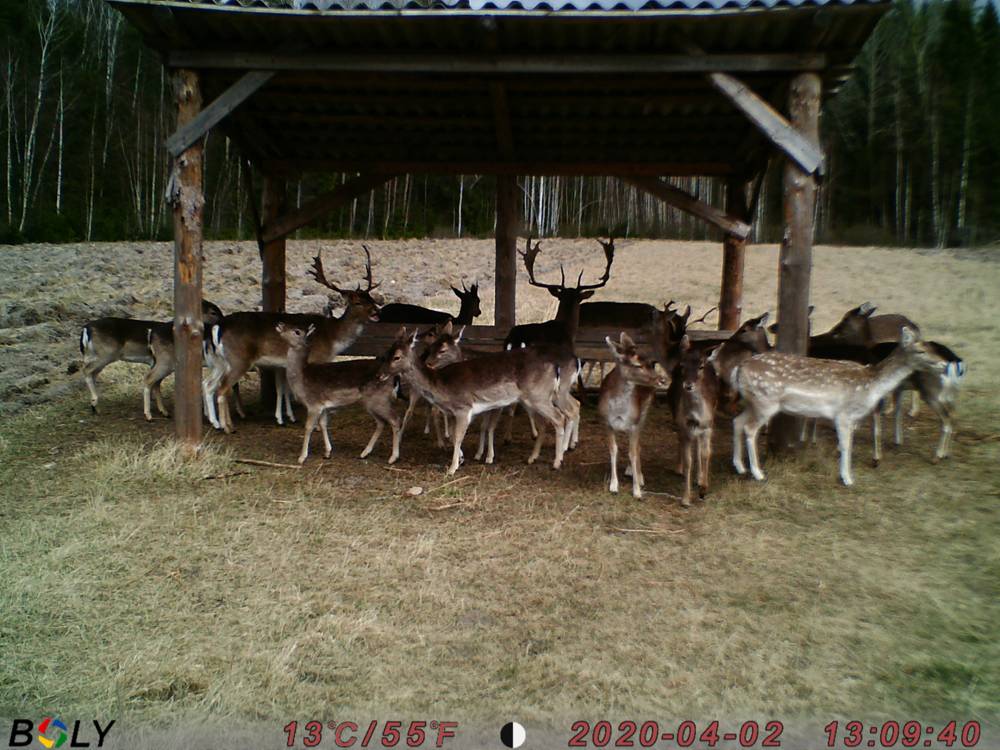 IMAG0025.JPG