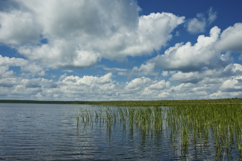 Domzheritskoe.jpg