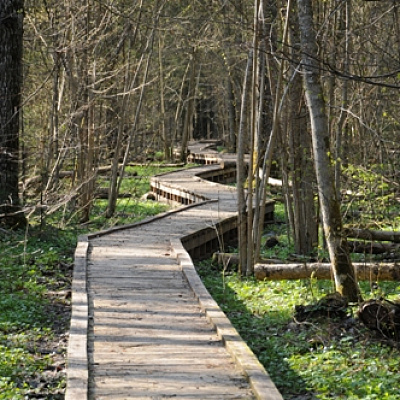 Walking along ecological paths